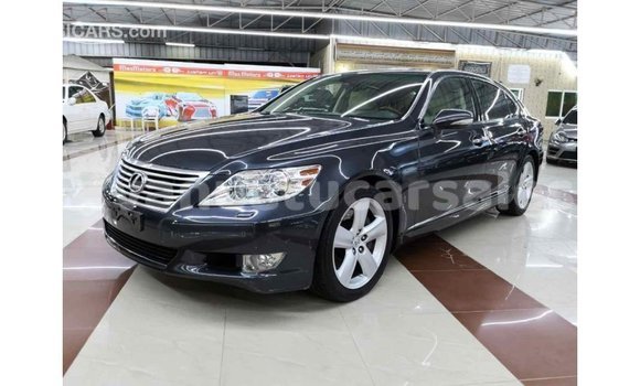 Acheter Import Voiture Lexus LS Autre à Import - Dubai, Malampa