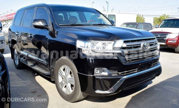 Medium with watermark c4a66bfc 7bb3 421d 85ac 8cba944eec25