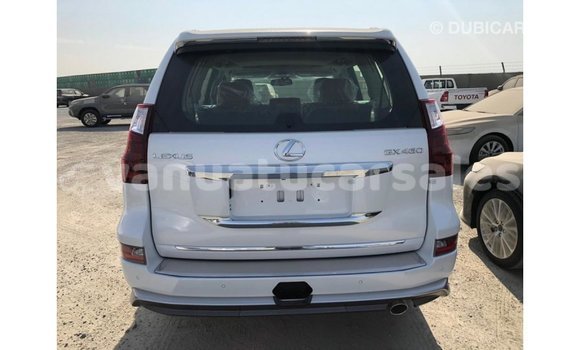Acheter Import Voiture Lexus GX Blanc à Import - Dubai, Malampa Acheter Import Voiture Lexus GX Blanc à Import - Dubai, Malampa