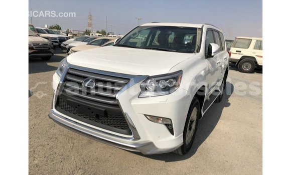 Acheter Import Voiture Lexus GX Blanc à Import - Dubai, Malampa