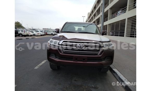 Acheter Import Voiture Toyota Land Cruiser Marron à Import - Dubai, Malampa Acheter Import Voiture Toyota Land Cruiser Marron à Import - Dubai, Malampa