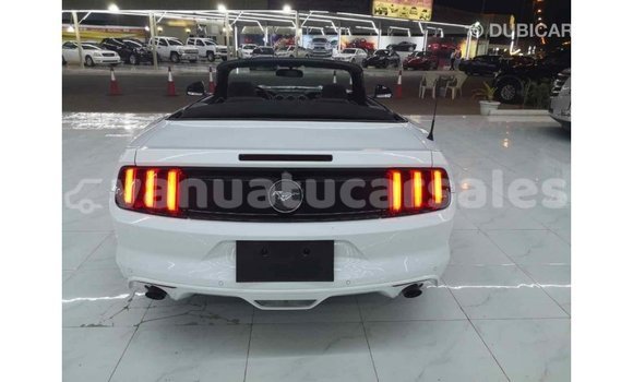 Acheter Import Voiture Ford Mustang Blanc à Import - Dubai, Malampa Acheter Import Voiture Ford Mustang Blanc à Import - Dubai, Malampa