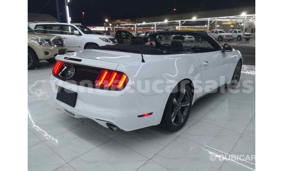 Acheter Import Voiture Ford Mustang Blanc à Import - Dubai, Malampa Acheter Import Voiture Ford Mustang Blanc à Import - Dubai, Malampa