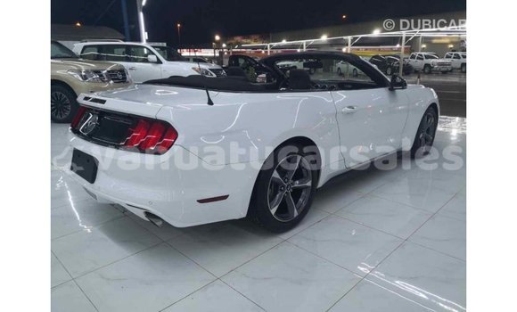 Acheter Import Voiture Ford Mustang Blanc à Import - Dubai, Malampa