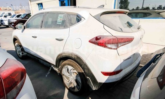 Acheter Import Voiture Hyundai Tucson Blanc à Import - Dubai, Malampa Acheter Import Voiture Hyundai Tucson Blanc à Import - Dubai, Malampa