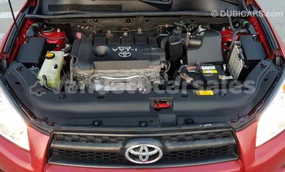 Acheter Import Voiture Toyota RAV4 Rouge à Import - Dubai, Malampa Acheter Import Voiture Toyota RAV4 Rouge à Import - Dubai, Malampa