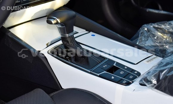 Acheter Import Voiture Kia Cadenza Autre à Import - Dubai, Malampa Acheter Import Voiture Kia Cadenza Autre à Import - Dubai, Malampa