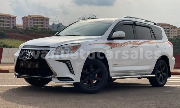 Medium with watermark toyota rav4 shefa port vila 548