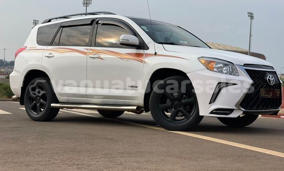 Buy Used Toyota RAV4 White Car in Port Vila in Shefa Buy Used Toyota RAV4 White Car in Port Vila in Shefa