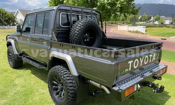 Buy Used Mahindra Scorpio Beige Car in Port Vila in Shefa Buy Used Mahindra Scorpio Beige Car in Port Vila in Shefa