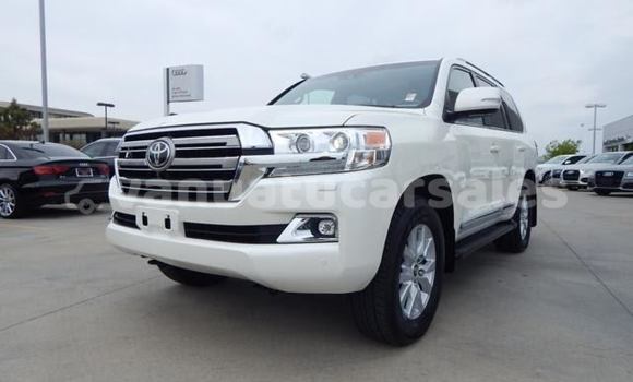 Buy Used Toyota Land Cruiser White Car in Port Vila in Shefa