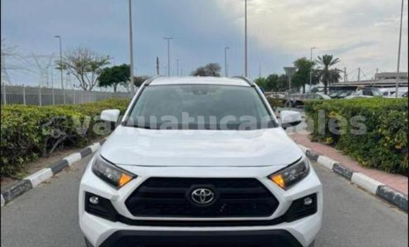 Buy Used Toyota RAV4 White Car in Leume in Malampa Buy Used Toyota RAV4 White Car in Leume in Malampa