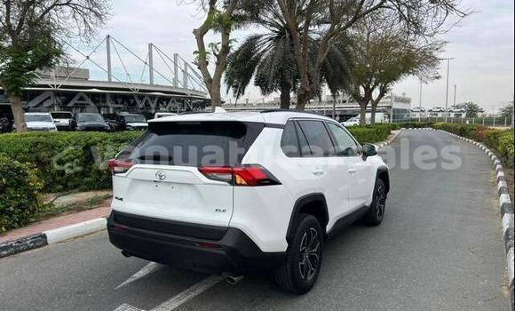 Buy Used Toyota RAV4 White Car in Leume in Malampa Buy Used Toyota RAV4 White Car in Leume in Malampa