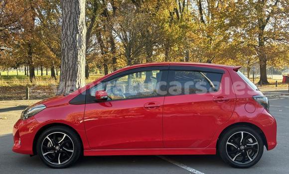 Buy Used Toyota Vitz Red Car in Port Vila in Shefa Buy Used Toyota Vitz Red Car in Port Vila in Shefa