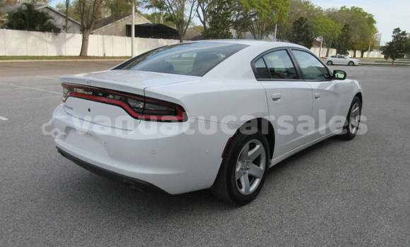 Buy Used Dodge Charger White Car in Luganville in Sanma Buy Used Dodge Charger White Car in Luganville in Sanma