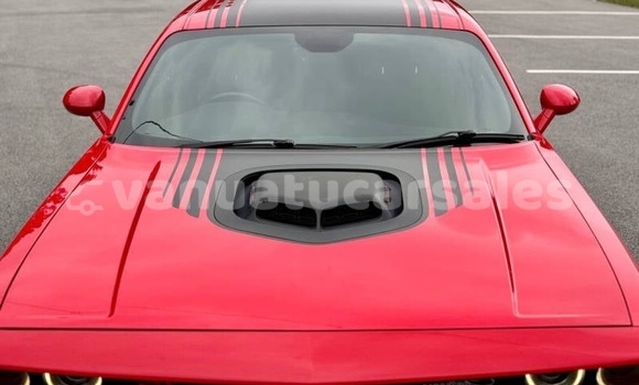 Buy Used Dodge Challenger Red Car in Luganville in Sanma Buy Used Dodge Challenger Red Car in Luganville in Sanma