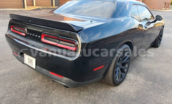 Buy Used Dodge Challenger Black Car in Luganville in Sanma Buy Used Dodge Challenger Black Car in Luganville in Sanma