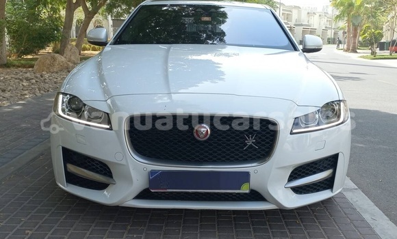 Buy Used Jaguar XF White Car in Port Vila in Shefa Buy Used Jaguar XF White Car in Port Vila in Shefa