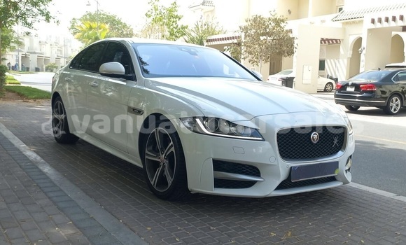Buy Used Jaguar XF White Car in Port Vila in Shefa Buy Used Jaguar XF White Car in Port Vila in Shefa