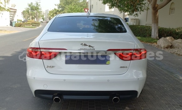 Buy Used Jaguar XF White Car in Port Vila in Shefa Buy Used Jaguar XF White Car in Port Vila in Shefa