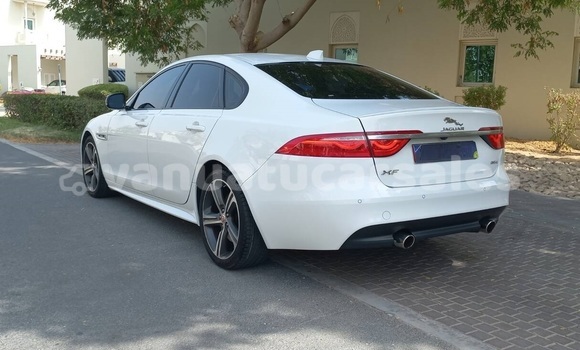 Buy Used Jaguar XF White Car in Port Vila in Shefa Buy Used Jaguar XF White Car in Port Vila in Shefa