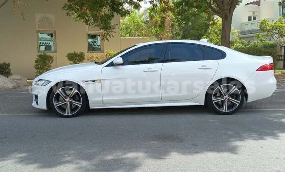 Buy Used Jaguar XF White Car in Port Vila in Shefa Buy Used Jaguar XF White Car in Port Vila in Shefa