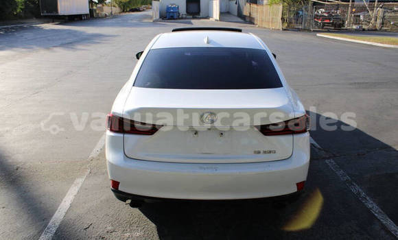 Buy Used Lexus IS White Car in Port Vila in Shefa Buy Used Lexus IS White Car in Port Vila in Shefa