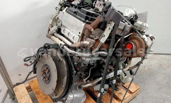 Buy ISUZU DMAX 3.0 in Luganville in Sanma Buy ISUZU DMAX 3.0 in Luganville in Sanma