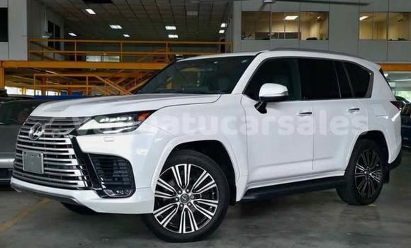 Buy Used Lexus LX White Car in Port Vila in Shefa