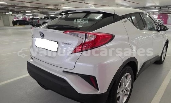 Buy Used Toyota C-HR White Car in Port Vila in Shefa Buy Used Toyota C-HR White Car in Port Vila in Shefa
