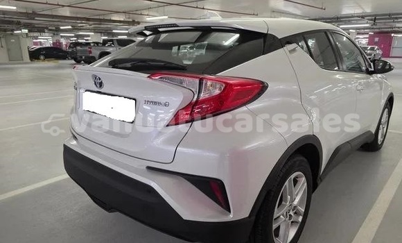 Buy Used Toyota C-HR White Car in Port Vila in Shefa Buy Used Toyota C-HR White Car in Port Vila in Shefa