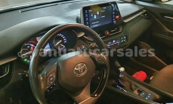 Buy Used Toyota C-HR White Car in Port Vila in Shefa Buy Used Toyota C-HR White Car in Port Vila in Shefa