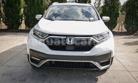 Buy Used Honda CRV White Car in Port Vila in Shefa Buy Used Honda CRV White Car in Port Vila in Shefa