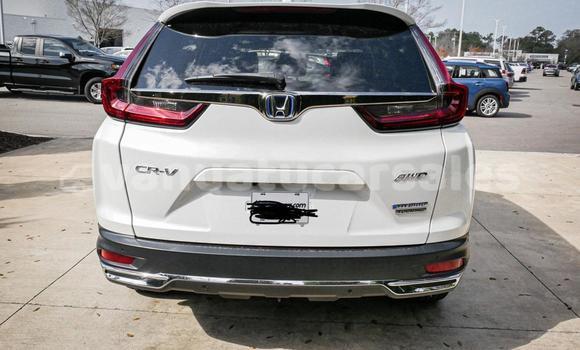 Buy Used Honda CRV White Car in Port Vila in Shefa Buy Used Honda CRV White Car in Port Vila in Shefa