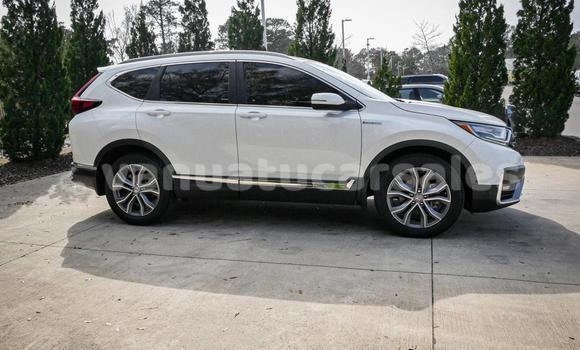 Buy Used Honda CRV White Car in Port Vila in Shefa Buy Used Honda CRV White Car in Port Vila in Shefa