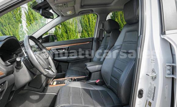 Buy Used Honda CRV White Car in Port Vila in Shefa Buy Used Honda CRV White Car in Port Vila in Shefa