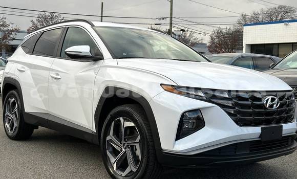 Buy Used Hyundai Tucson White Car in Port Vila in Shefa