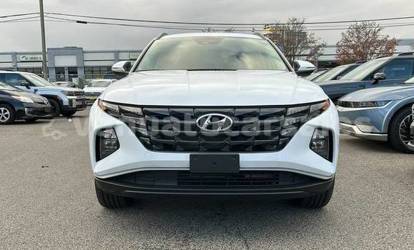 Buy Used Hyundai Tucson White Car in Port Vila in Shefa Buy Used Hyundai Tucson White Car in Port Vila in Shefa