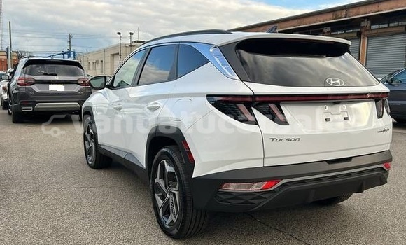 Buy Used Hyundai Tucson White Car in Port Vila in Shefa Buy Used Hyundai Tucson White Car in Port Vila in Shefa