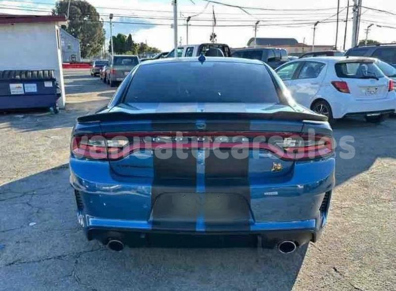 Big with watermark dodge charger shefa port havannah 830