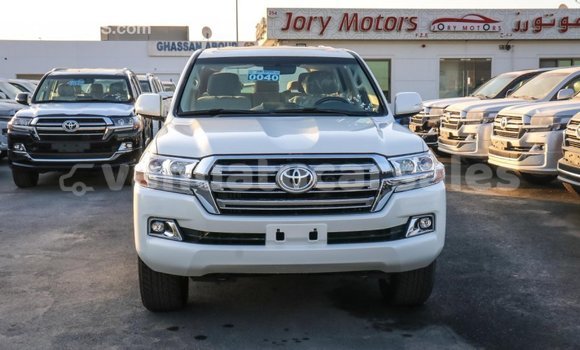 Buy Import Toyota Land Cruiser White Car in Import - Dubai in Malampa Buy Import Toyota Land Cruiser White Car in Import - Dubai in Malampa