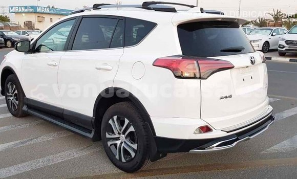 Acheter Import Voiture Toyota RAV4 Blanc à Import - Dubai, Malampa Acheter Import Voiture Toyota RAV4 Blanc à Import - Dubai, Malampa