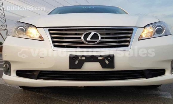Acheter Import Voiture Lexus ES Blanc à Import - Dubai, Malampa Acheter Import Voiture Lexus ES Blanc à Import - Dubai, Malampa