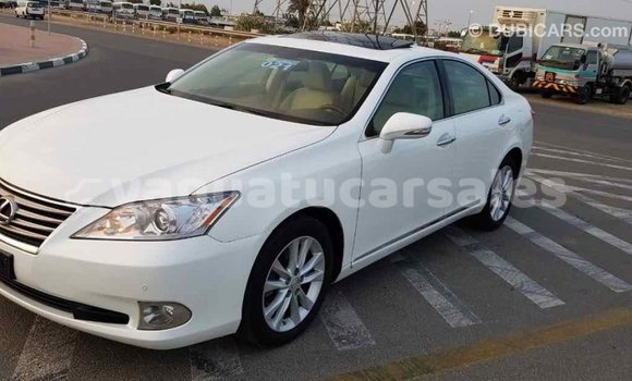 Acheter Import Voiture Lexus ES Blanc à Import - Dubai, Malampa Acheter Import Voiture Lexus ES Blanc à Import - Dubai, Malampa