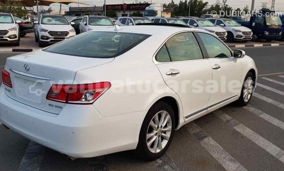 Acheter Import Voiture Lexus ES Blanc à Import - Dubai, Malampa Acheter Import Voiture Lexus ES Blanc à Import - Dubai, Malampa