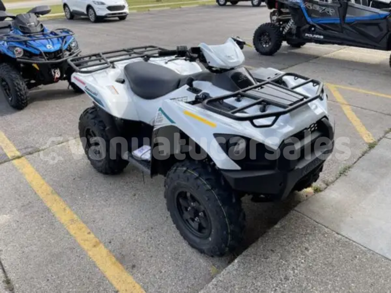 Big with watermark kawasaki brute force shefa eratap 913