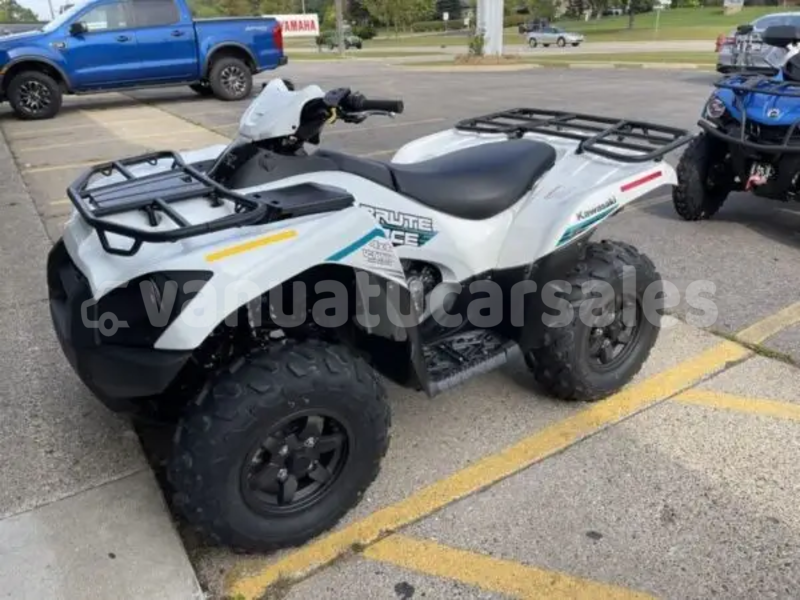 Big with watermark kawasaki brute force shefa eratap 913