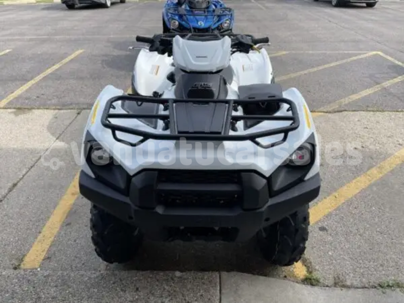 Big with watermark kawasaki brute force shefa eratap 913