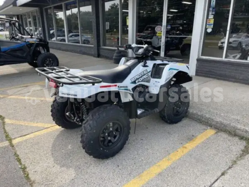Big with watermark kawasaki brute force shefa eratap 913