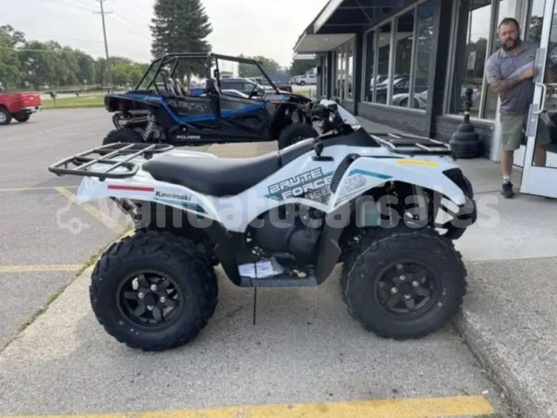 Big with watermark kawasaki brute force shefa eratap 913